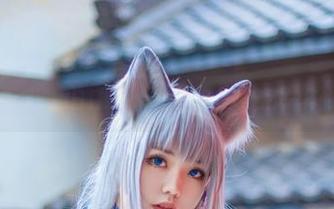 忍者喵喵图集：啊日日_Ganlory带你领略不一样的猫咪世界